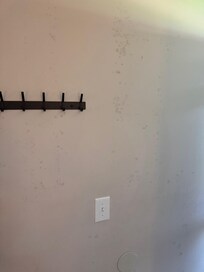 Mold on the walls