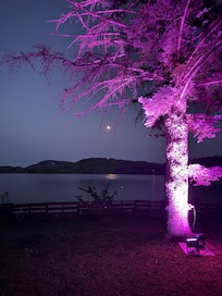 Lighted trees on the water