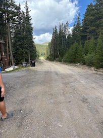 Took a walk on the road leading to the house