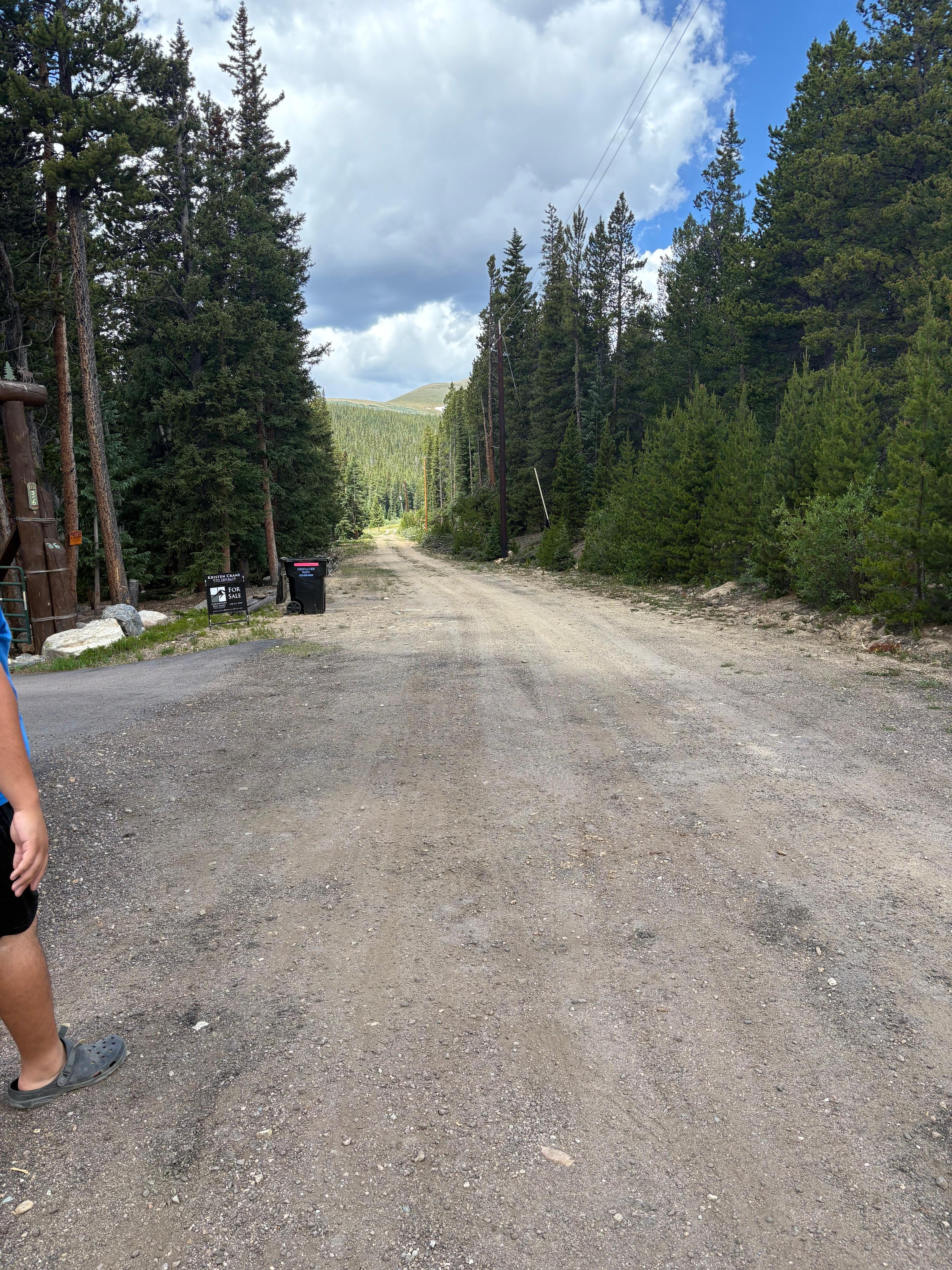 Took a walk on the road leading to the house