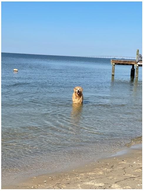 Enjoy an afternoon swim