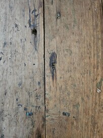 Room flooring with handmade iron nails.