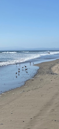 Relaxing walk along the shore