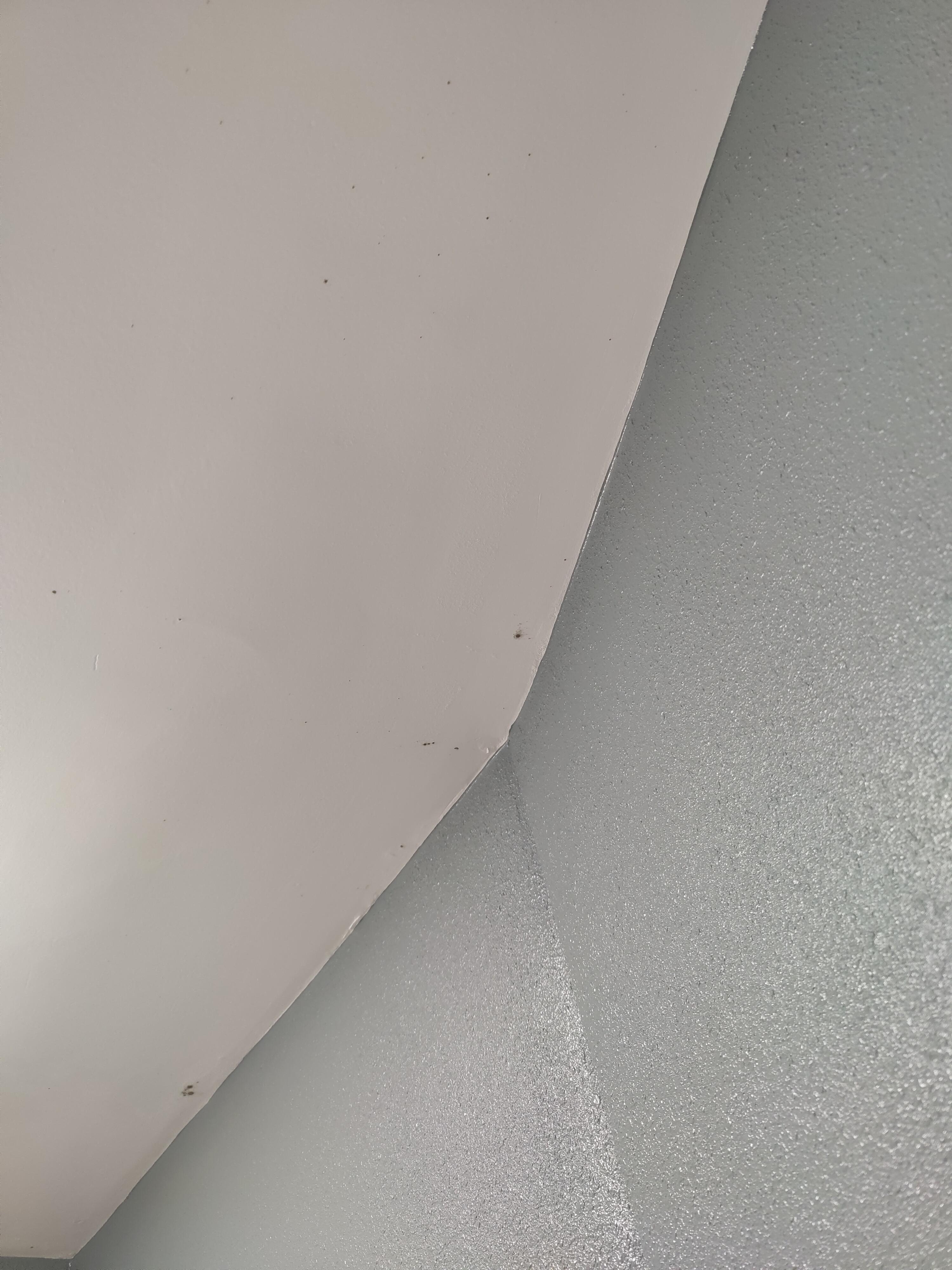 Black mold
