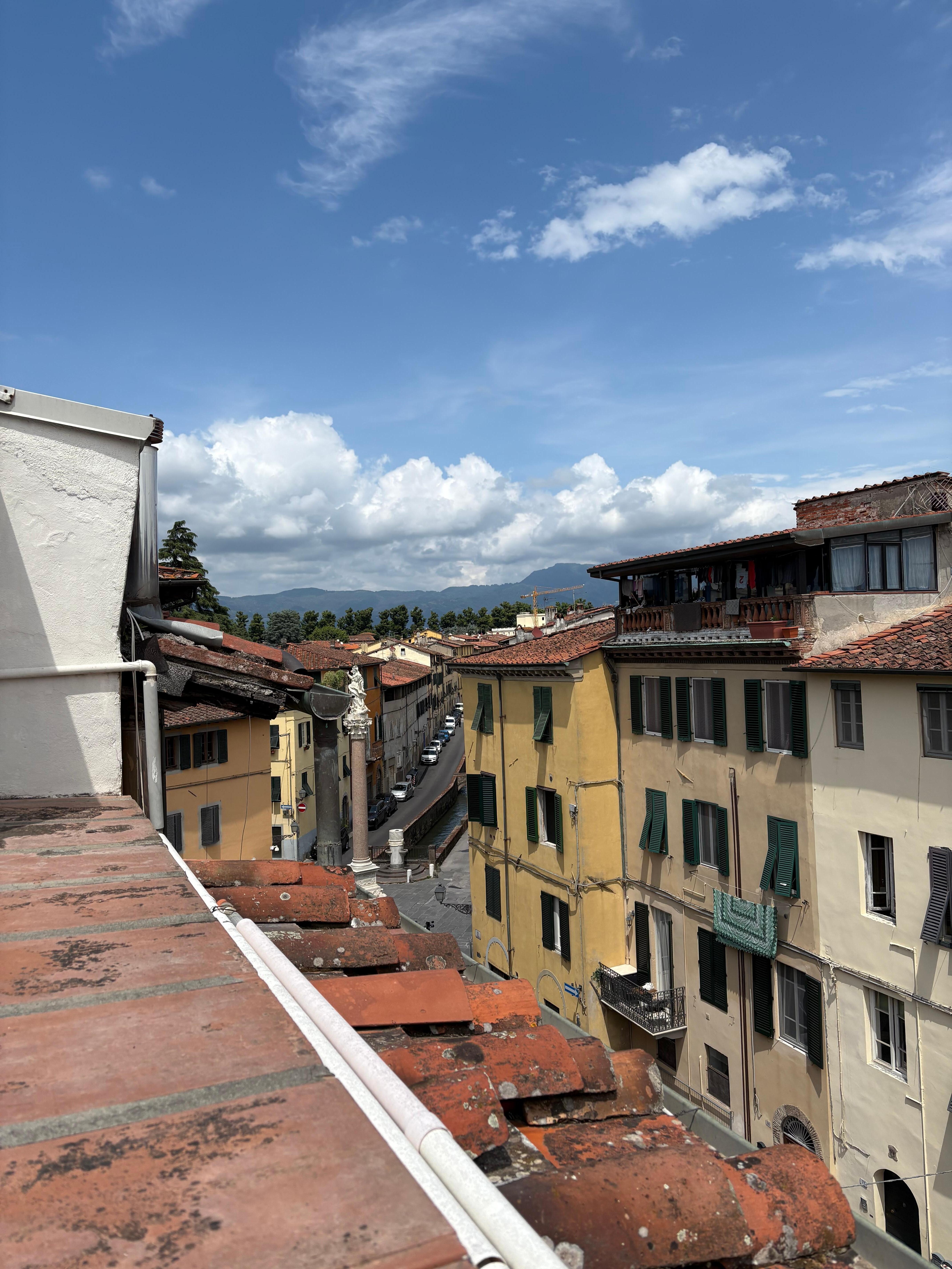 View from terrace 
