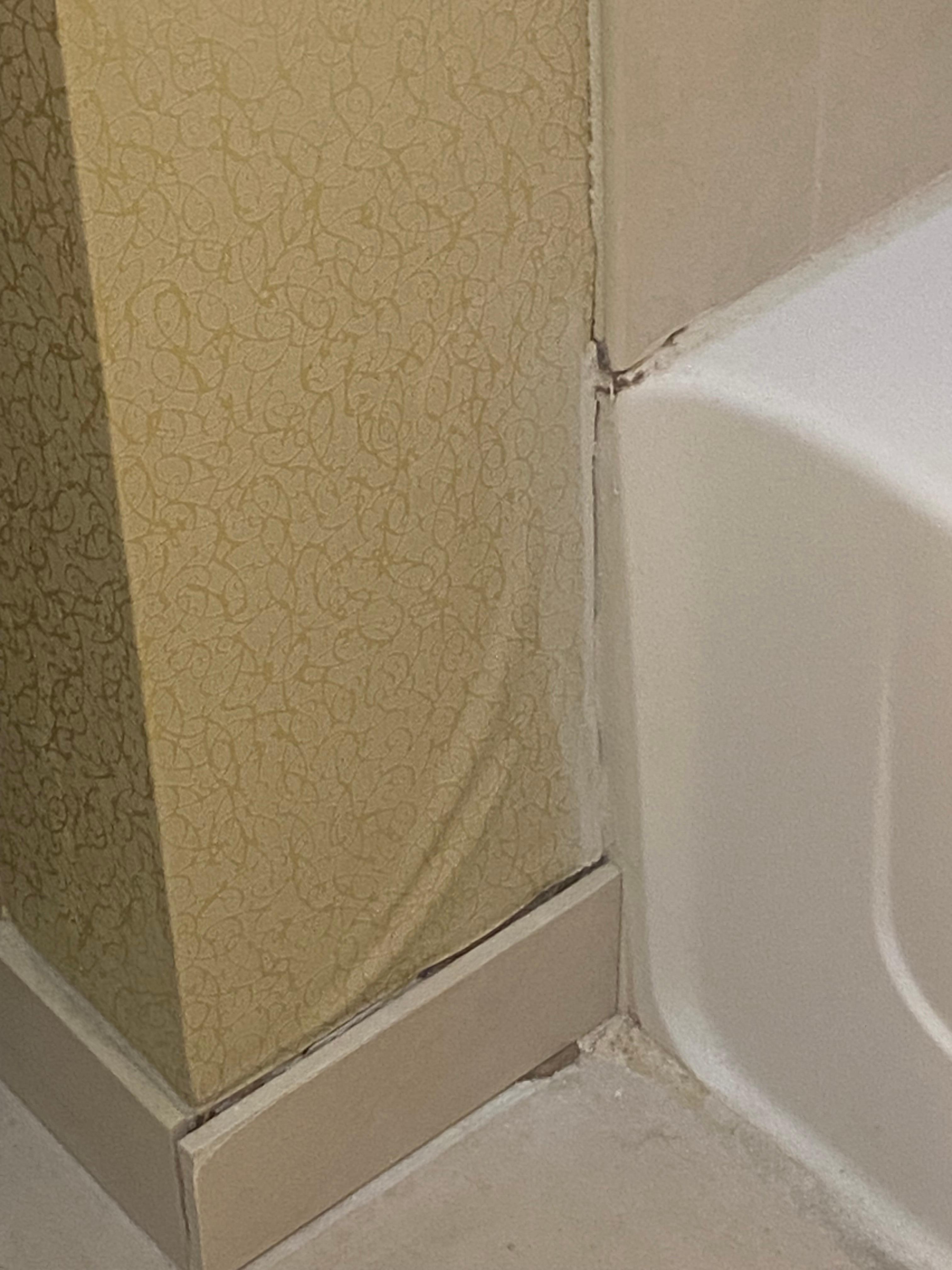 Shower mold