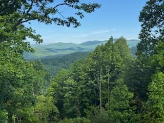 views from the cabin