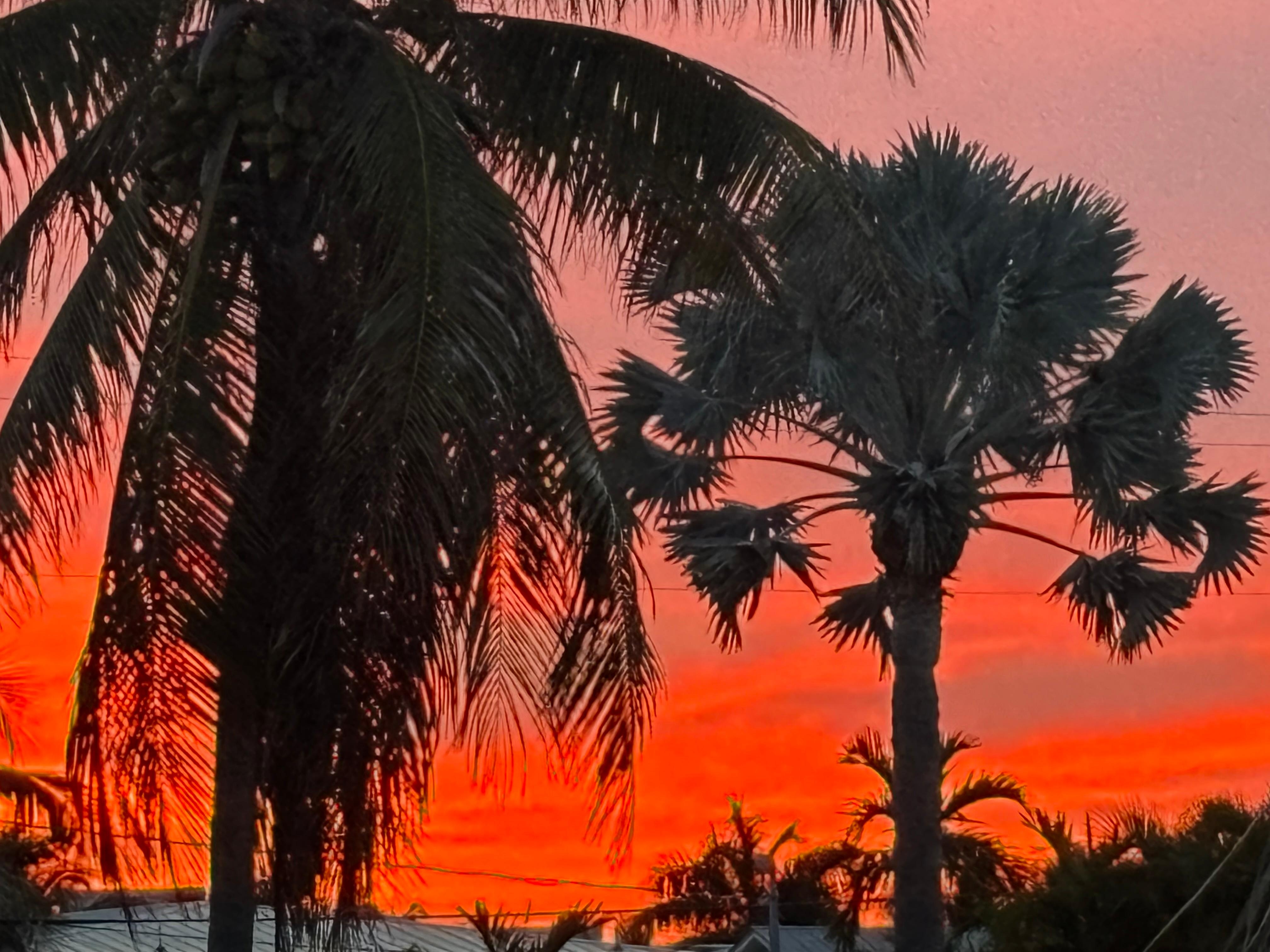 sunrise from back patio