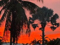 sunrise from back patio