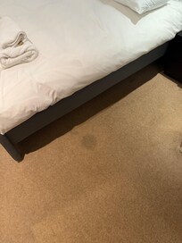 Carpet stains.