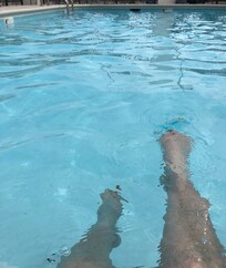 Got some water aerobics in.