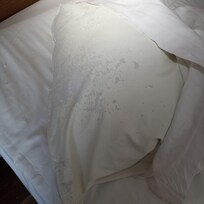 SI ESTO LO VEN CADA DÍA AL HACER LAS CAMAS, QUE SERÁ TODO LO QUE PASEN POR ALTO !!!