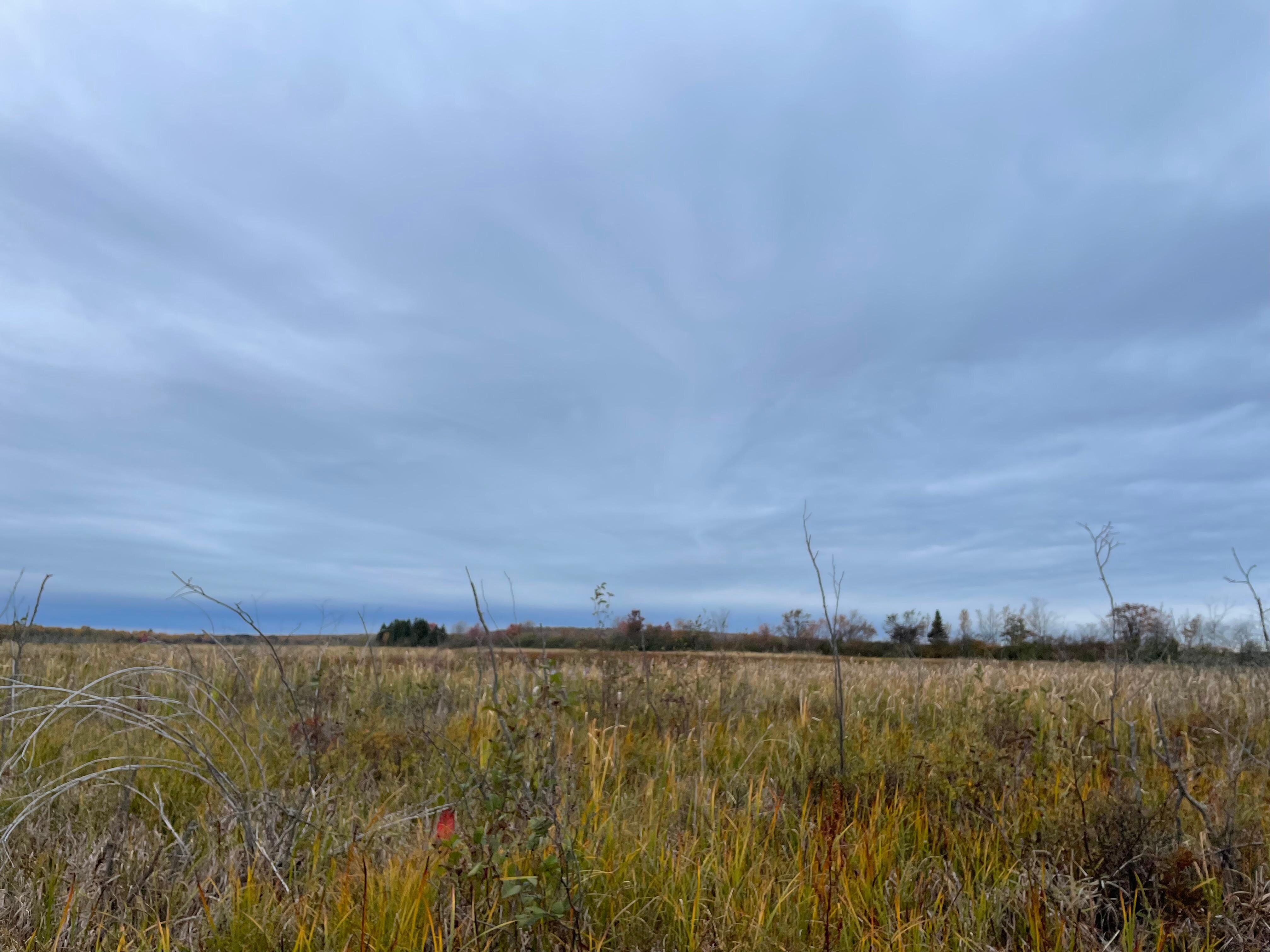 Bark River Slough