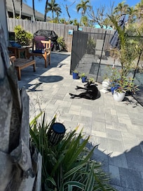 Chilling in the backyard