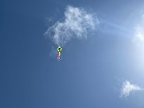 Buy a kite to fly!