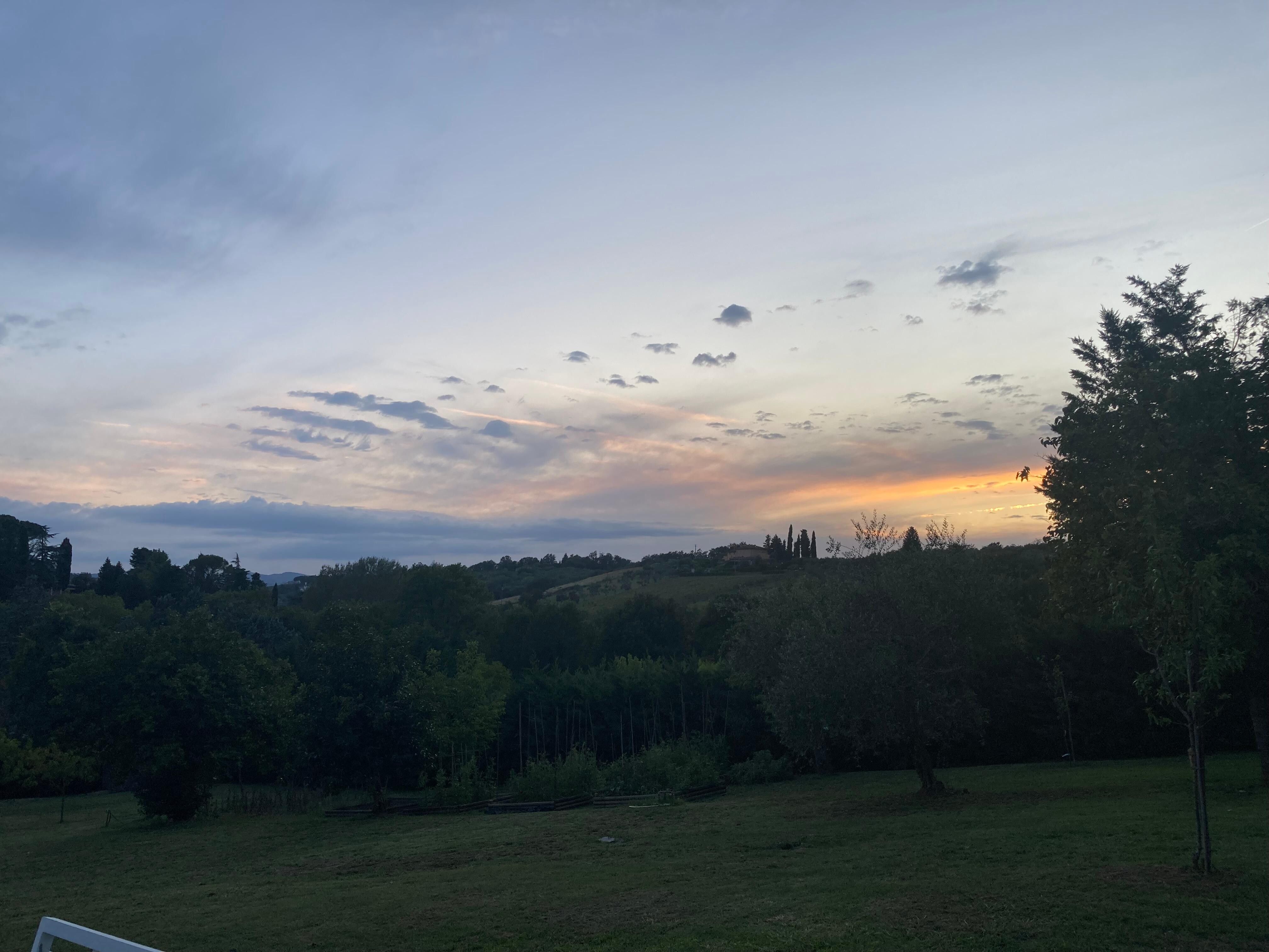 Sonnenuntergang im Garten