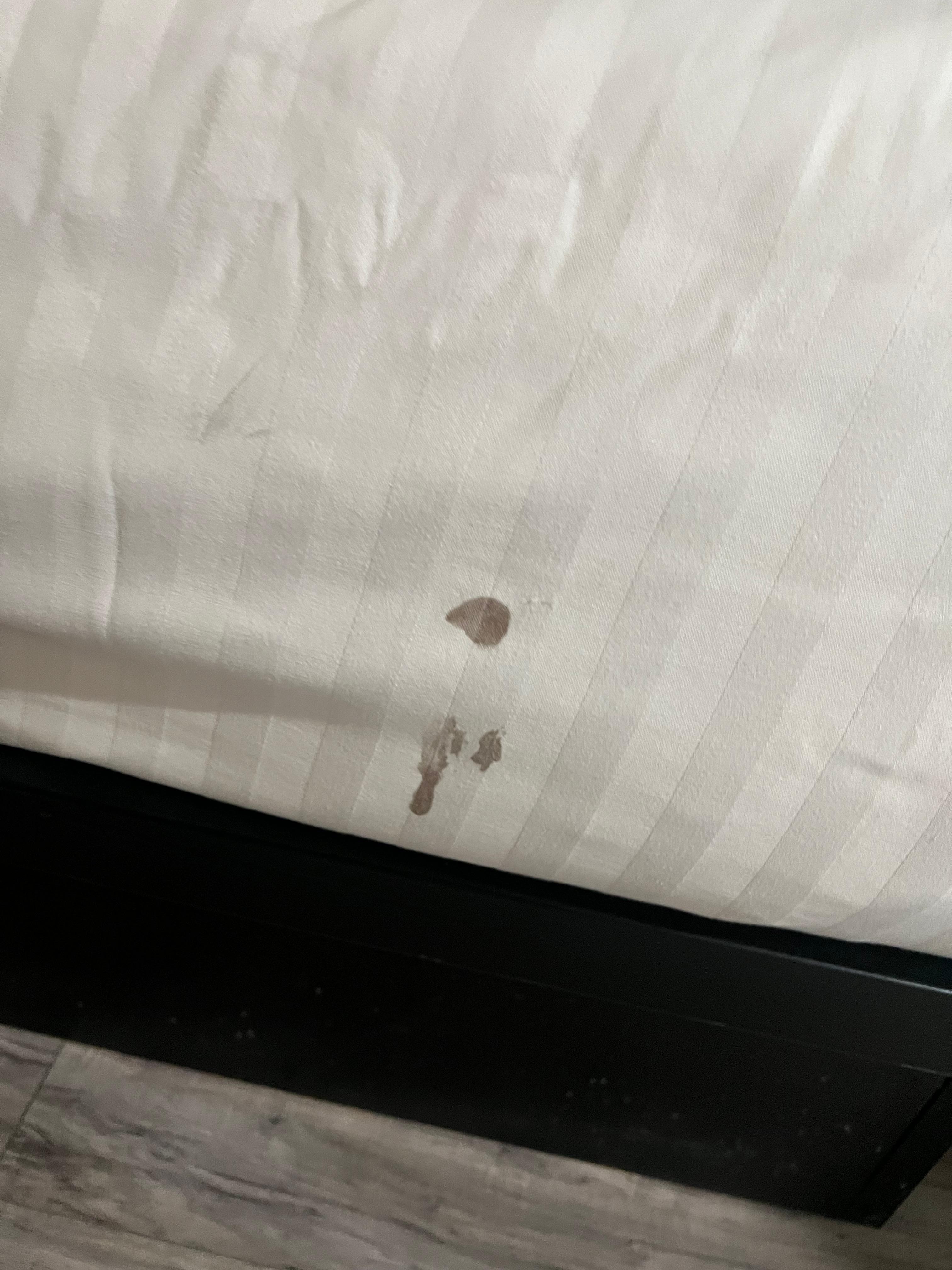 Bedsoread