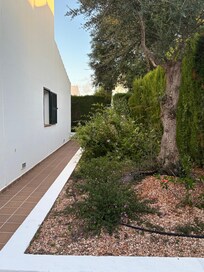 Nice garden