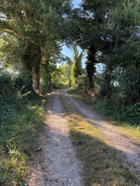 Nice little walk around the property