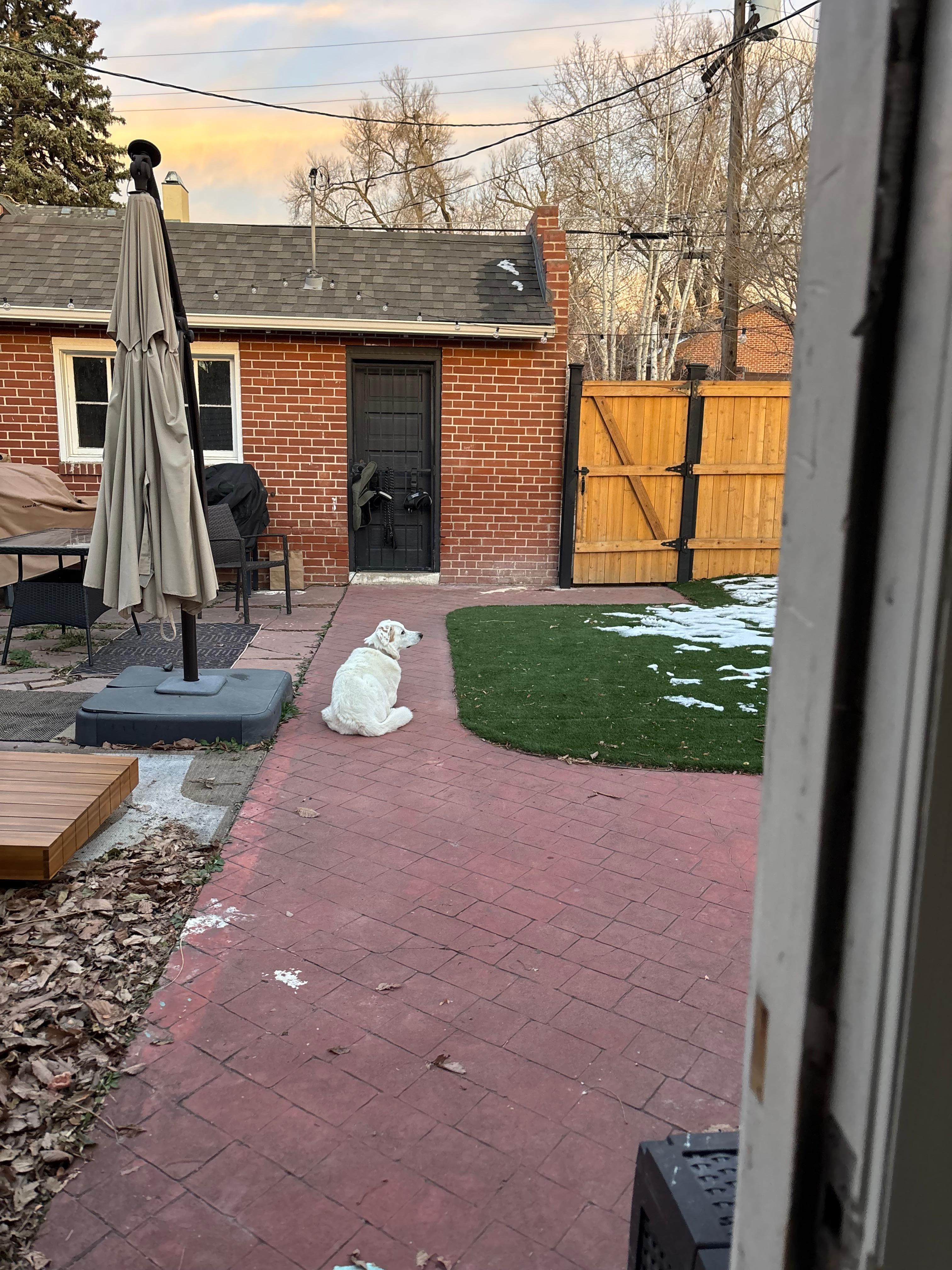 Back patio and yard area