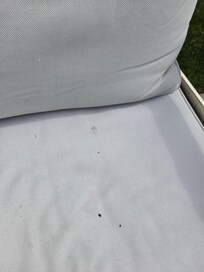 Dirty seat cushions