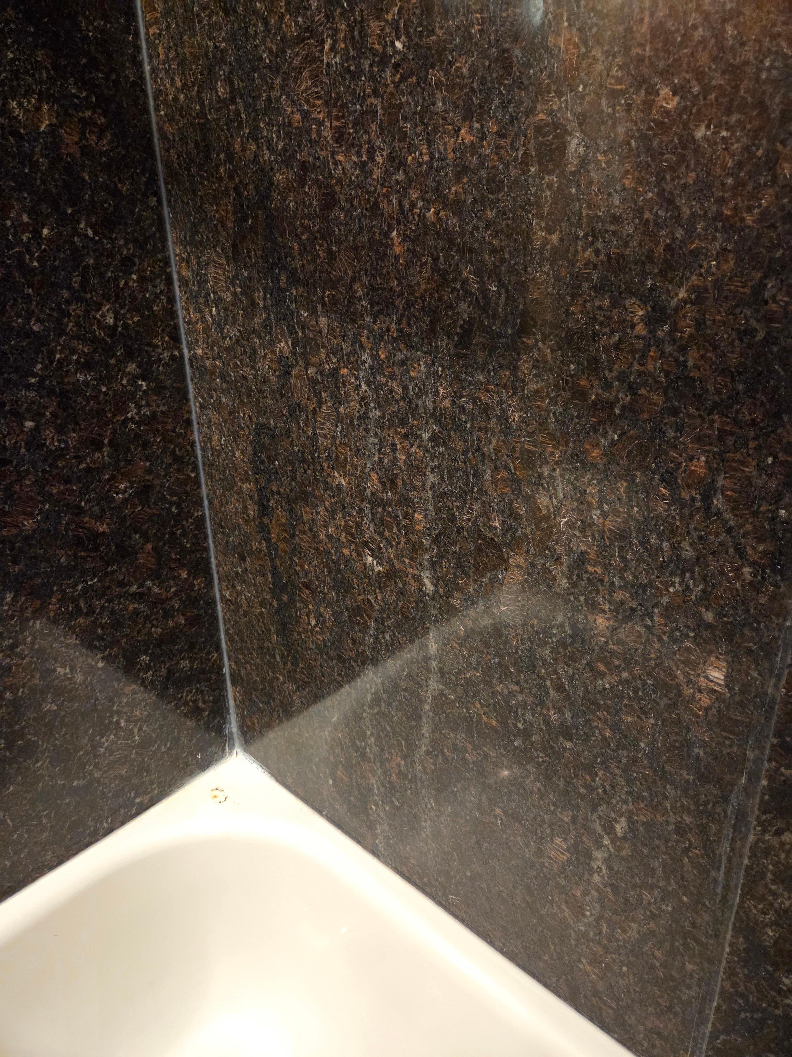 Soap scum all over the walls of the shower