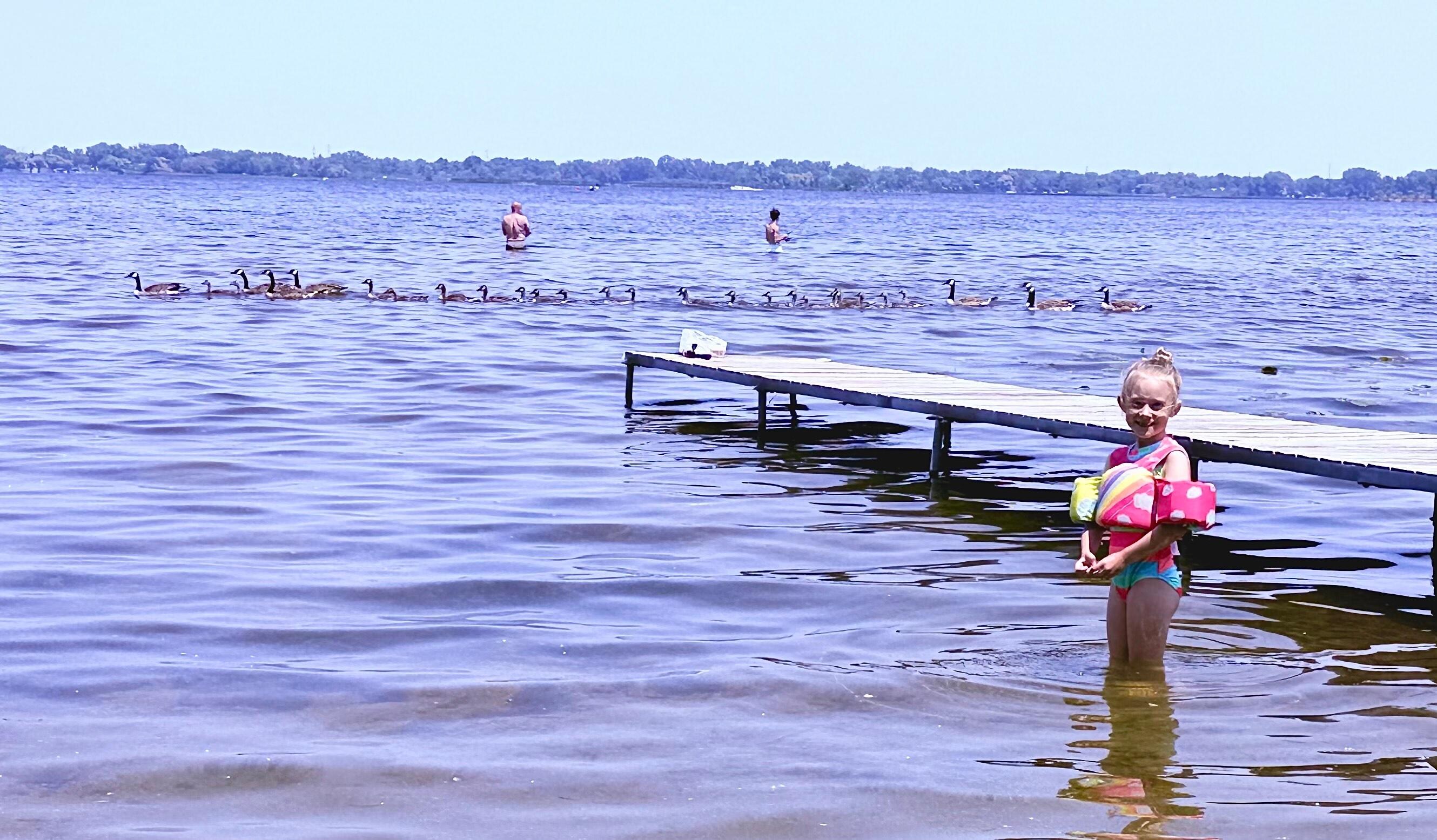 Beautiful duck family, fishing, and fun