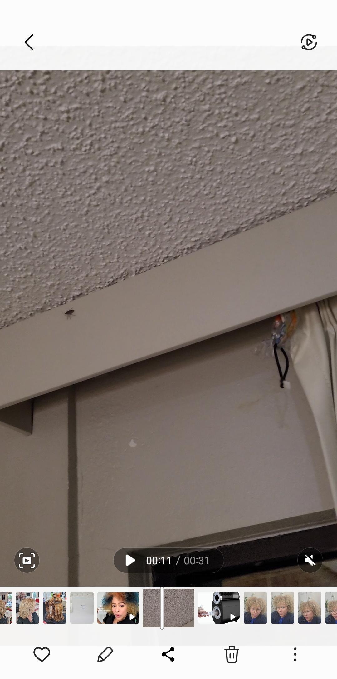 Wall