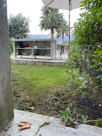 view ftrom the window