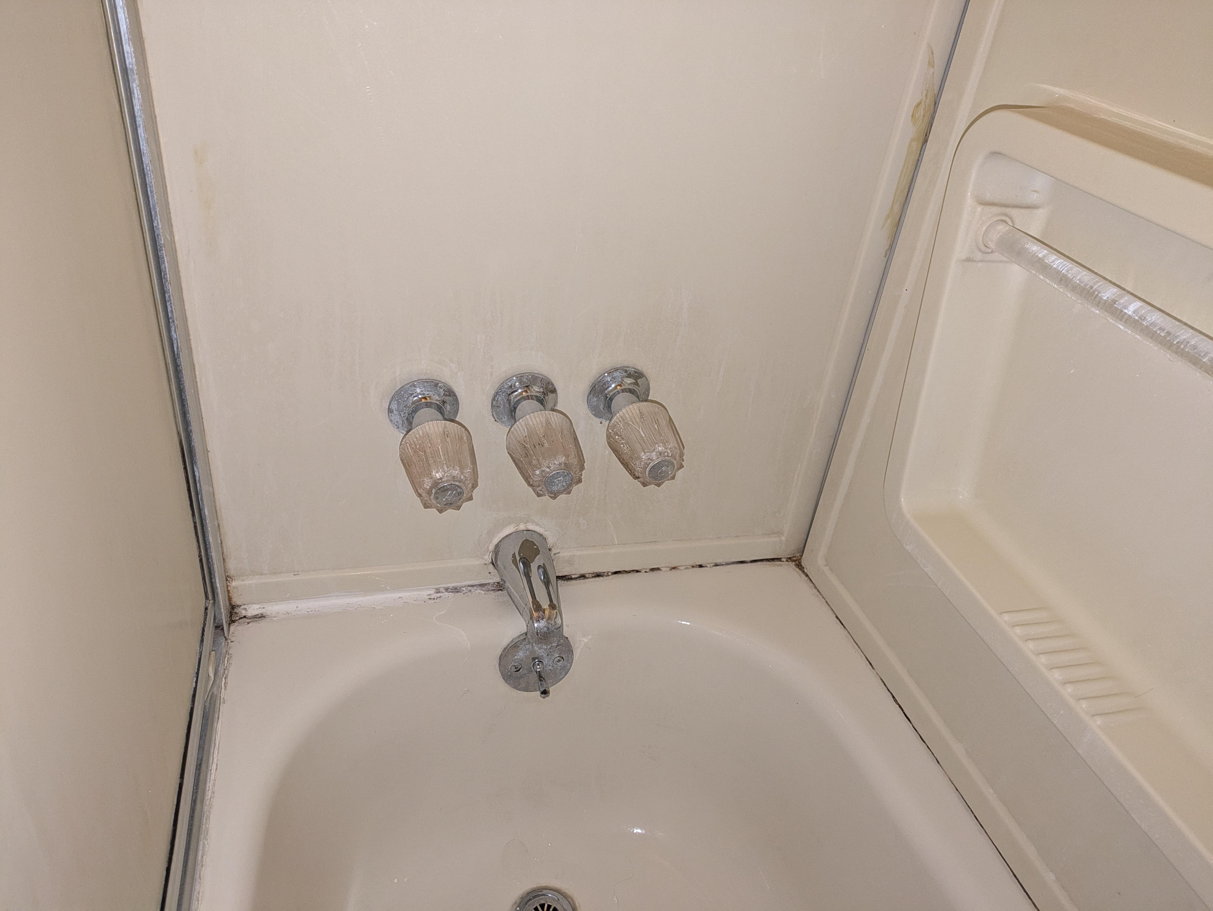 Mold in the tub