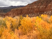 The connecting road in autumn