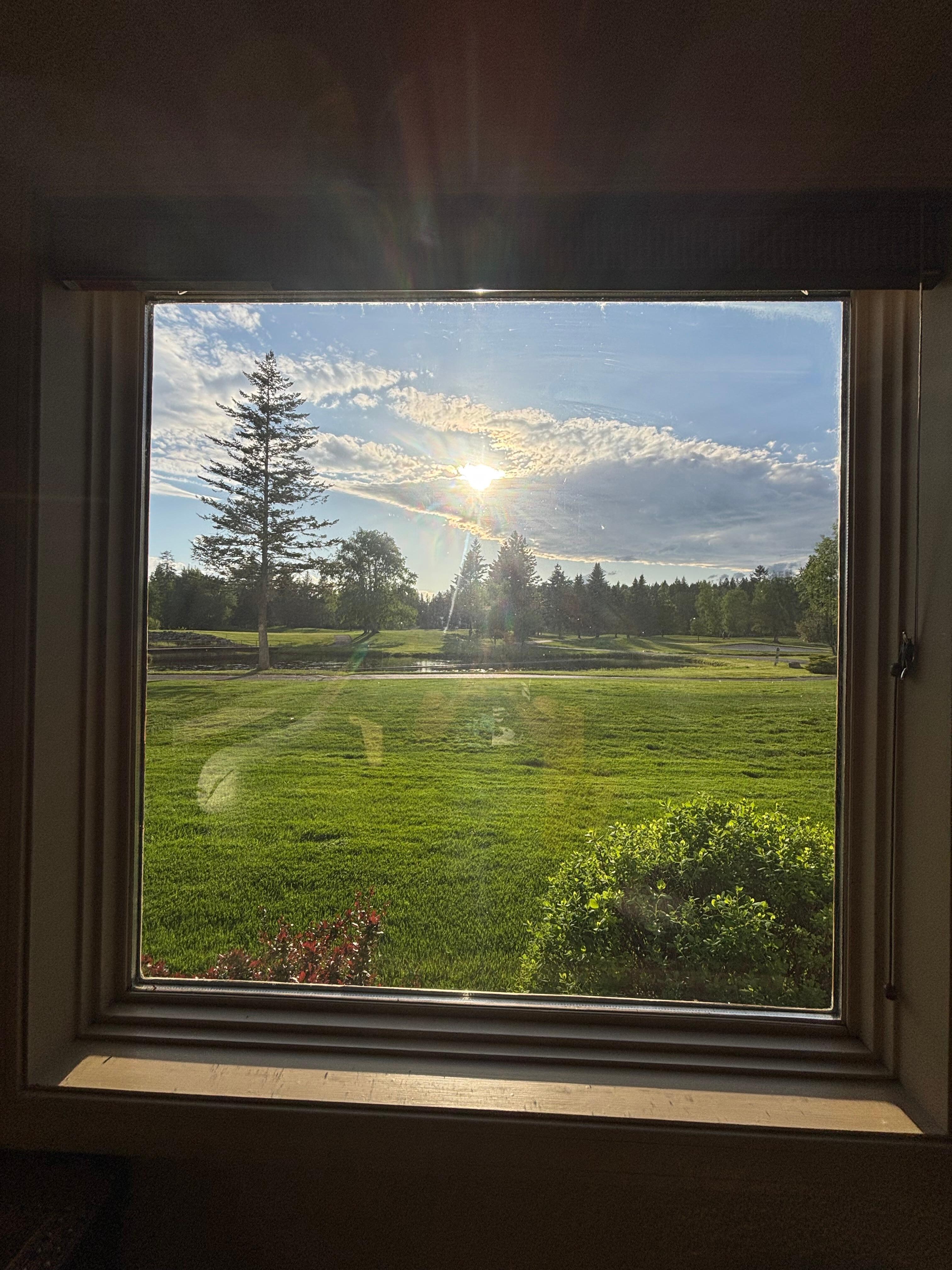 The view outside my room