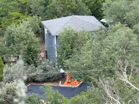 View of the nest from Mt Baldy