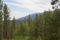 The view from the back deck.