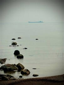 Fun to watch the ships! We had hazy days and they would appear on the foggy horizon!