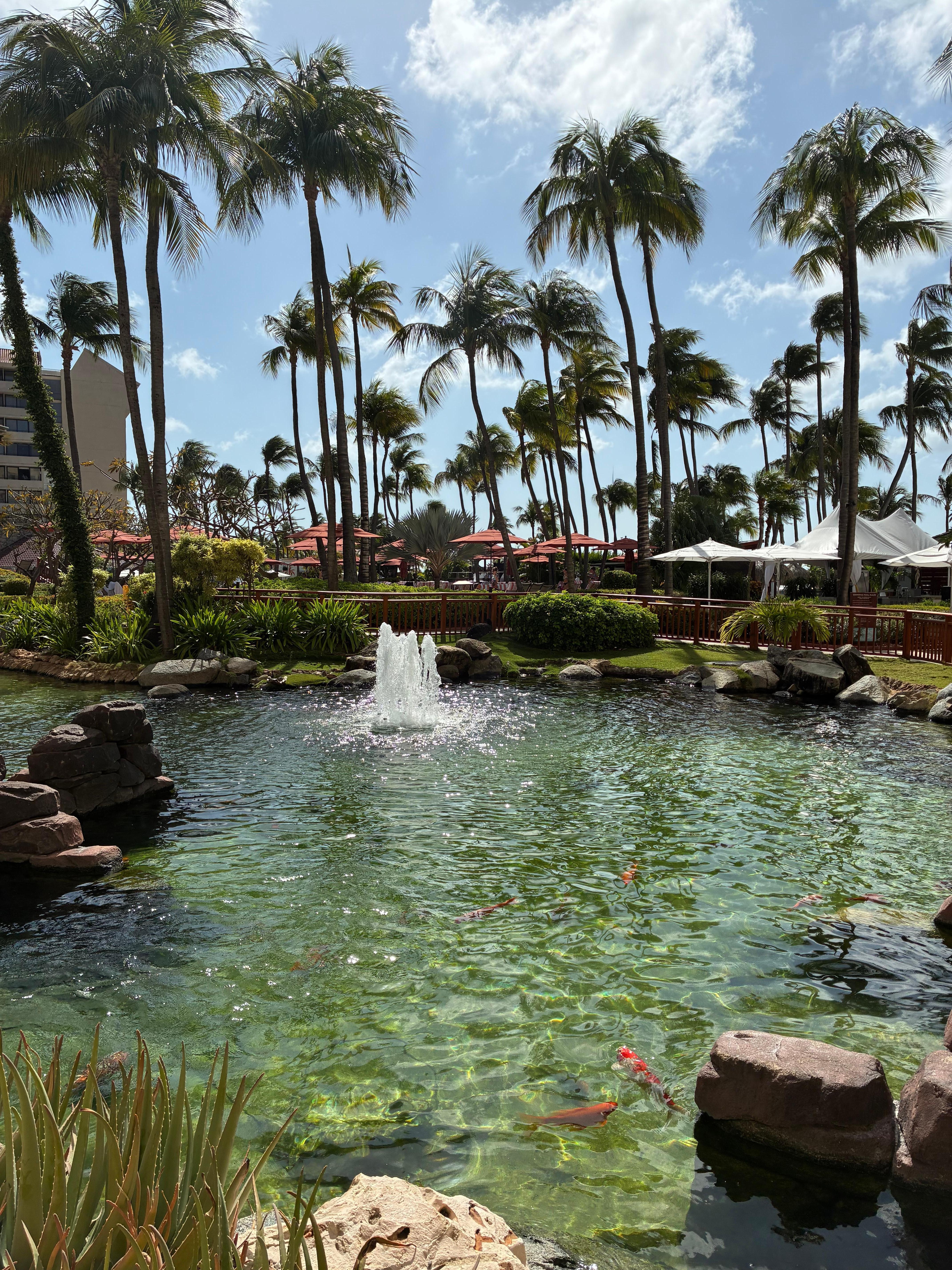 Pure paradise and beauty!