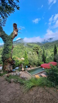 View in the surrounding nature