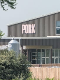 The piggie's