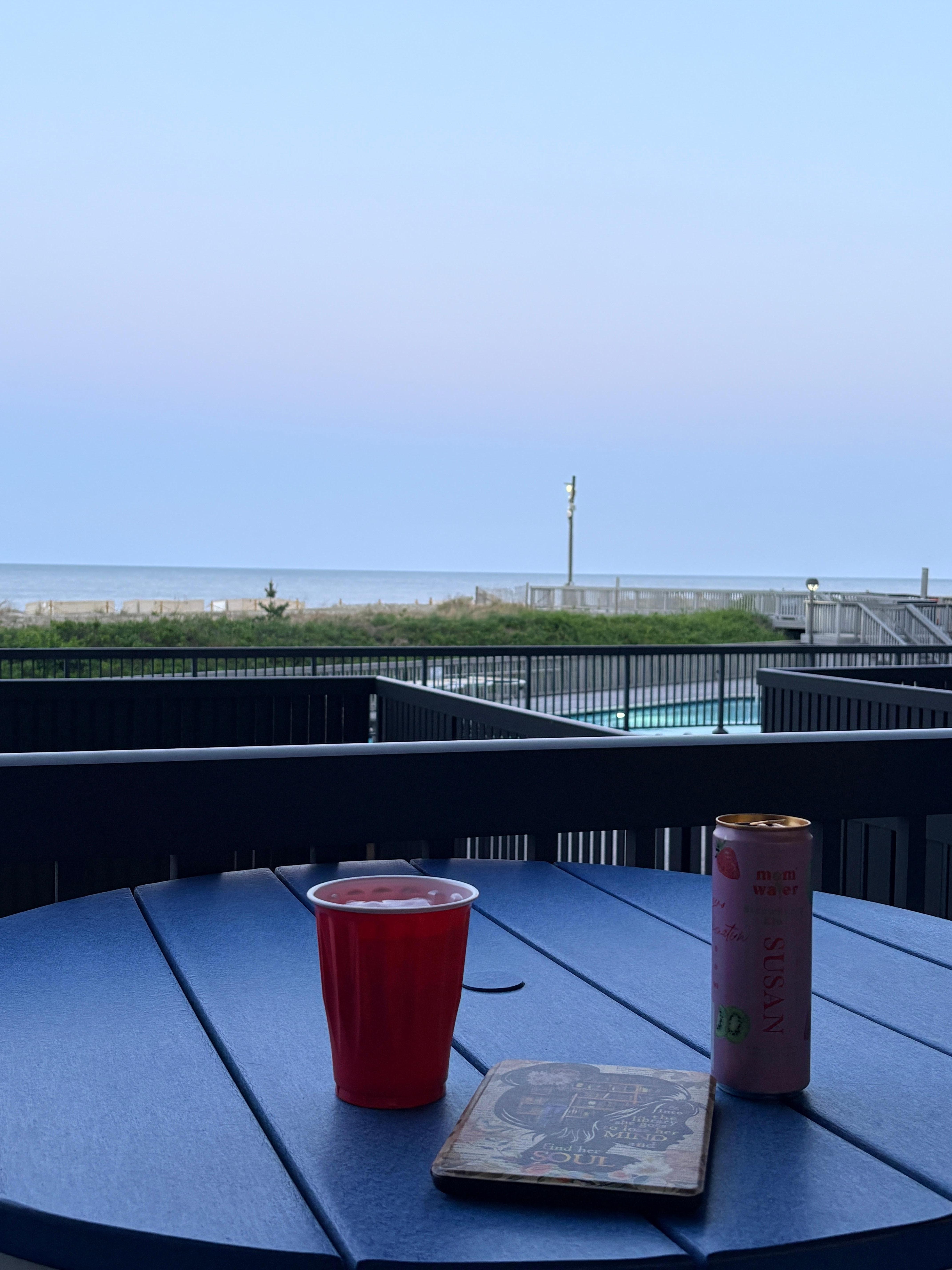 View from the patio table