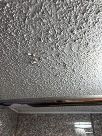 Bathroom ceiling