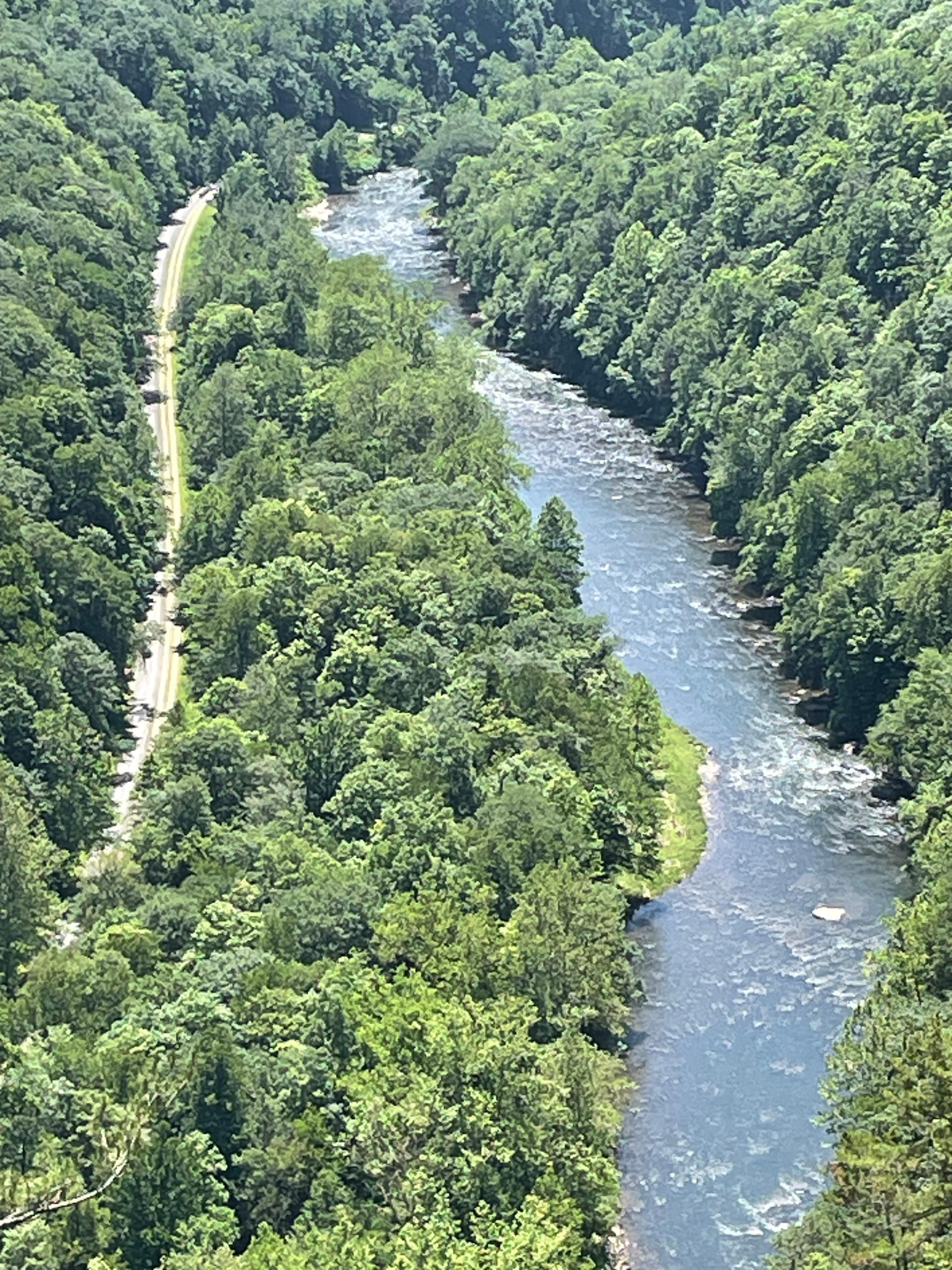 Pennsylvania’s Grand Canyon Vista