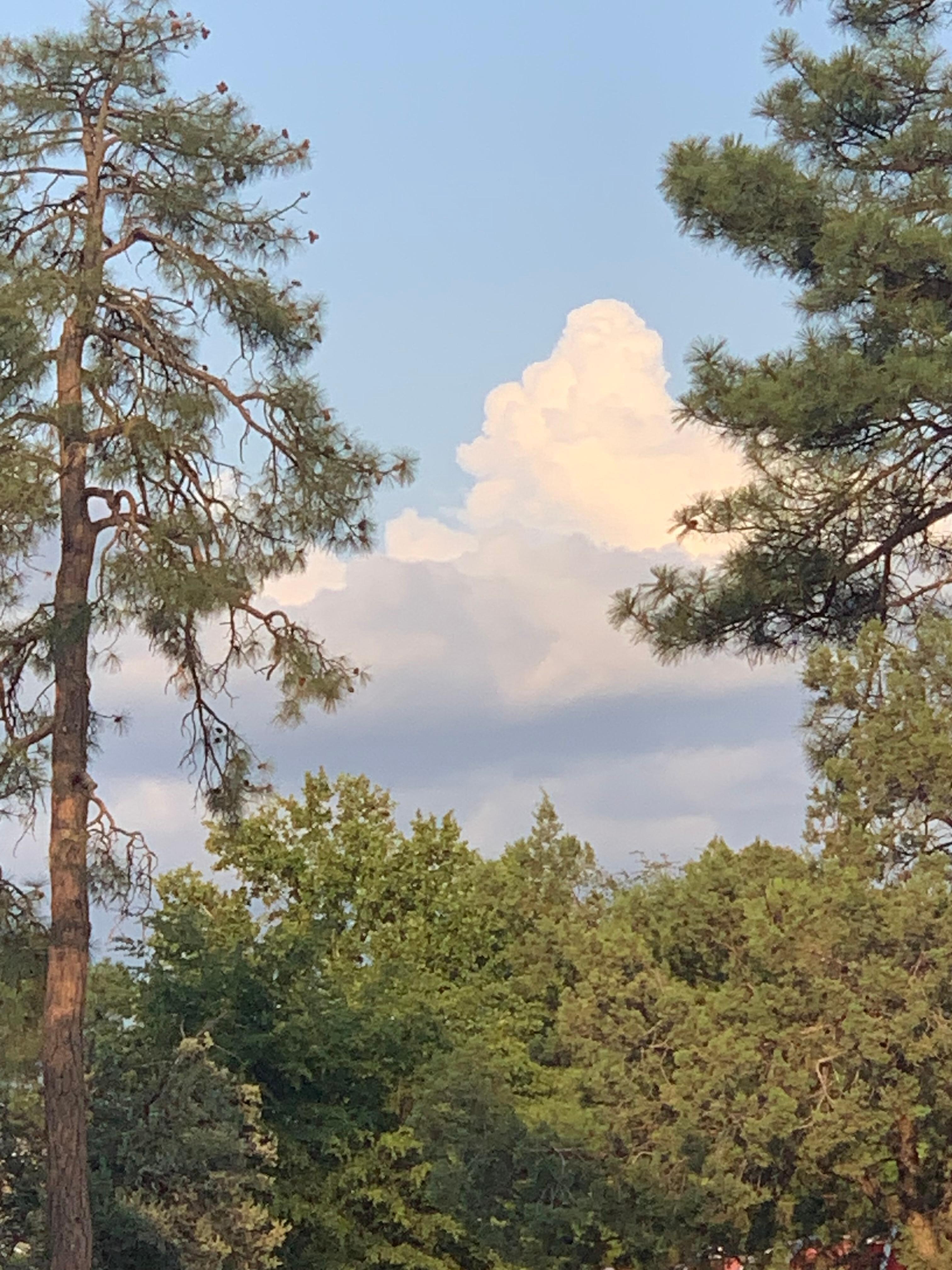 View from the parking lot. 