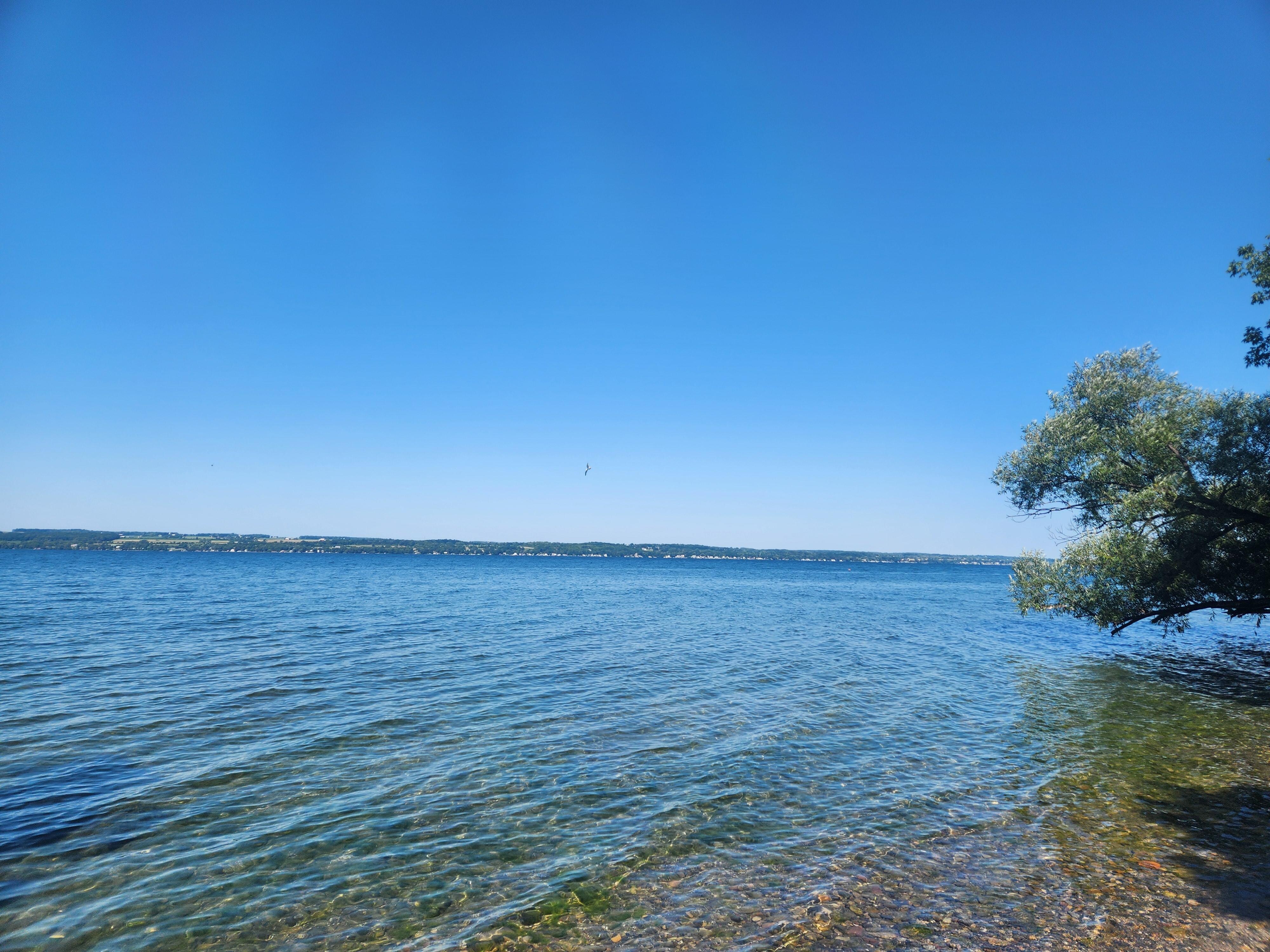 Down by the lake