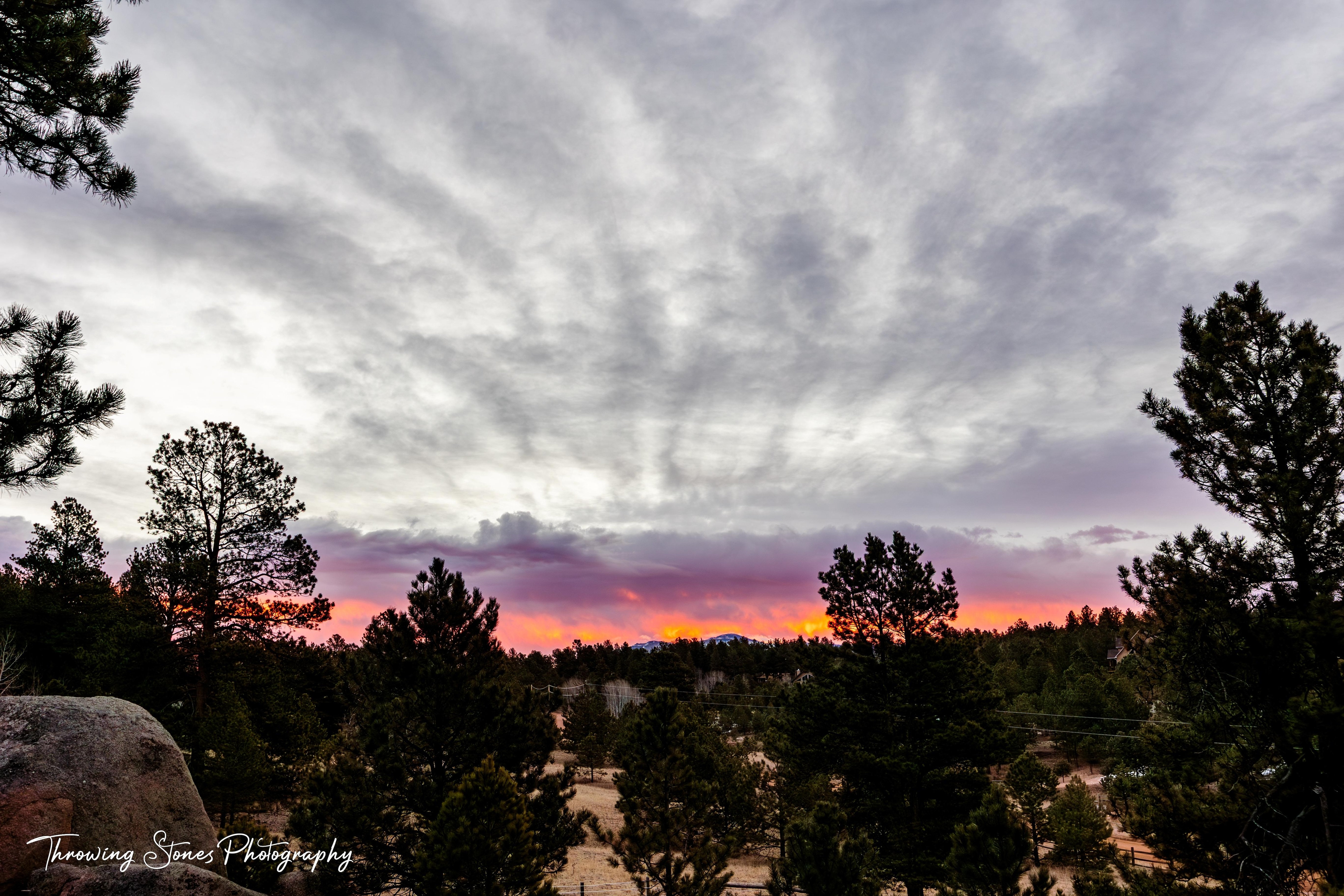 Sunrise on the property