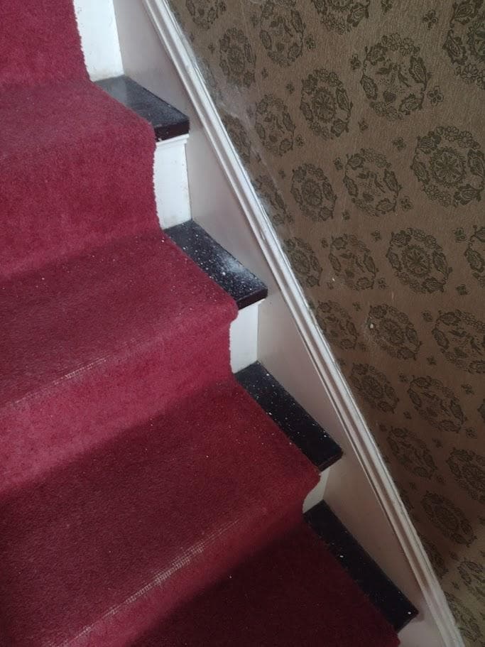 Paint fragments from ceiling