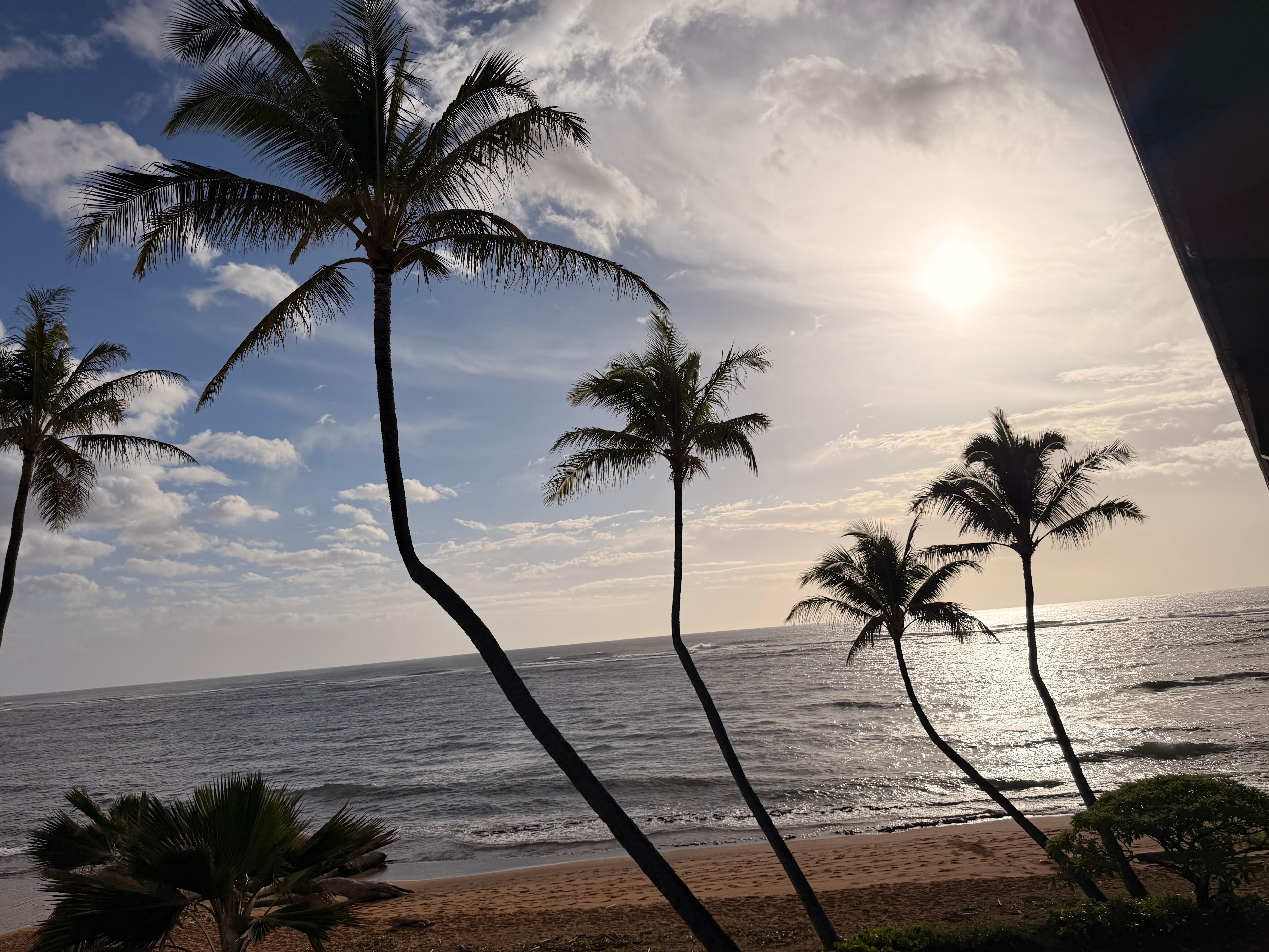 Literally the view from the balcony!