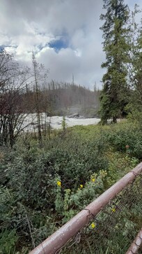 Athabasca Falls