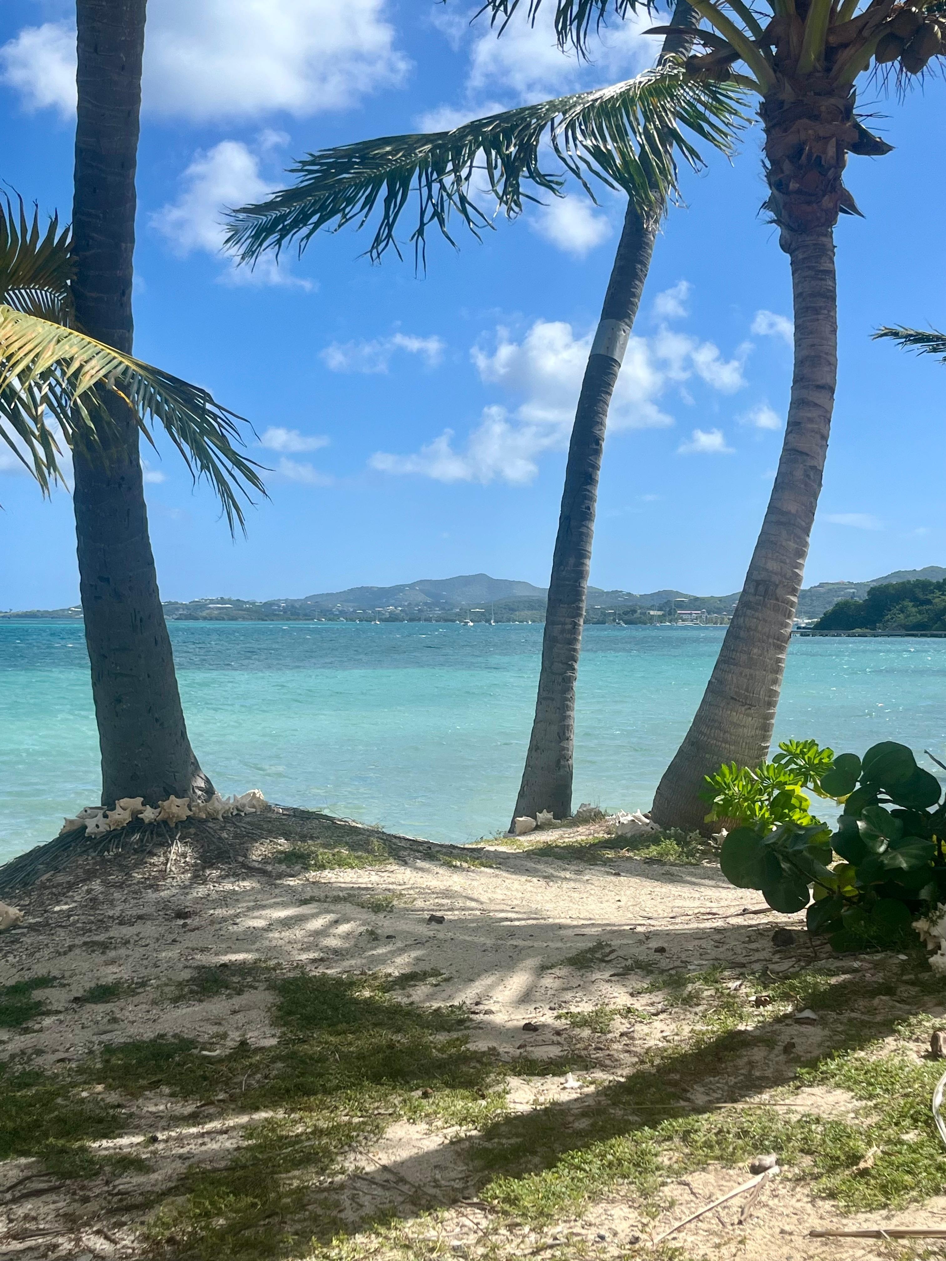 View on the other side of the pool gate!