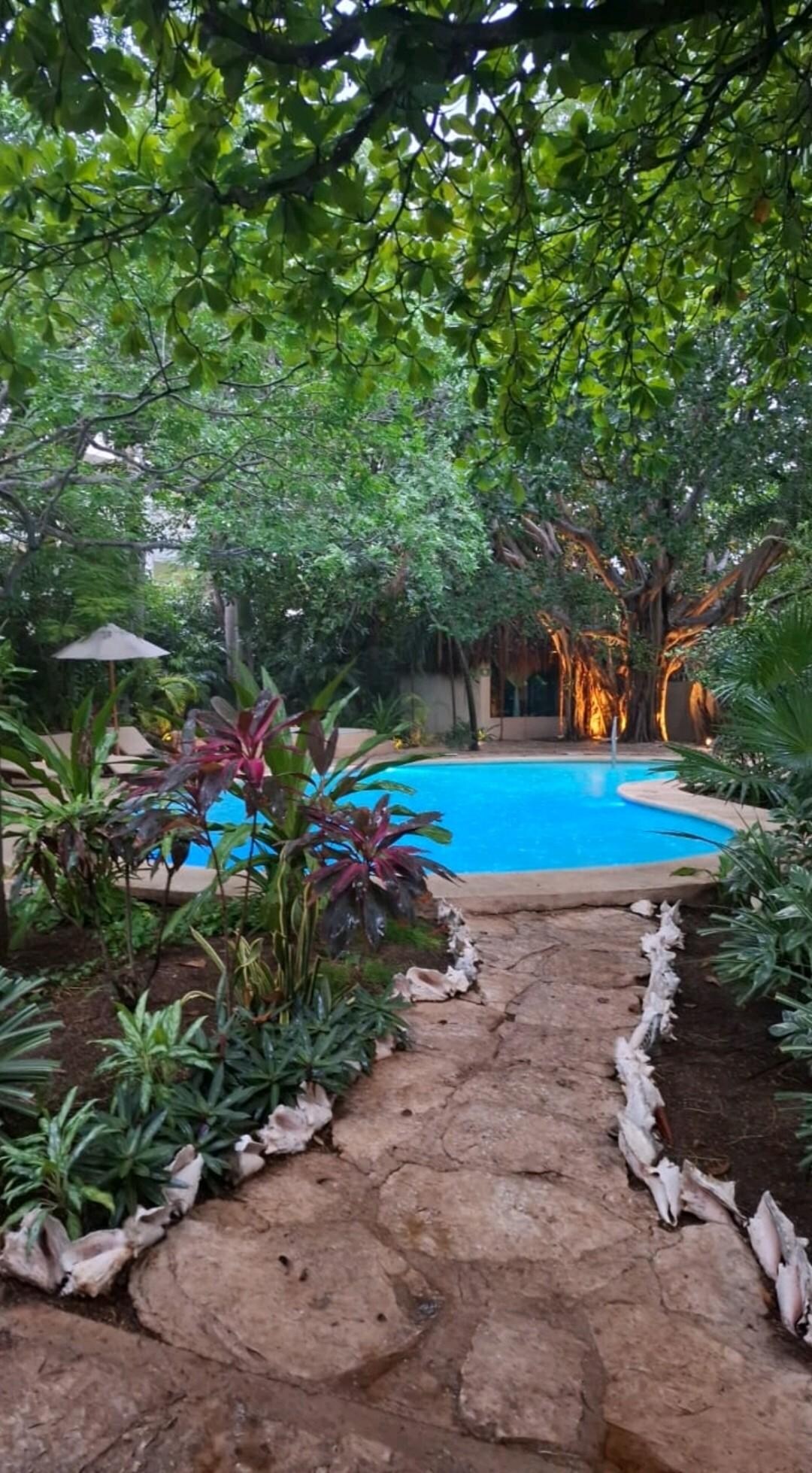 Jardines del Hotel 