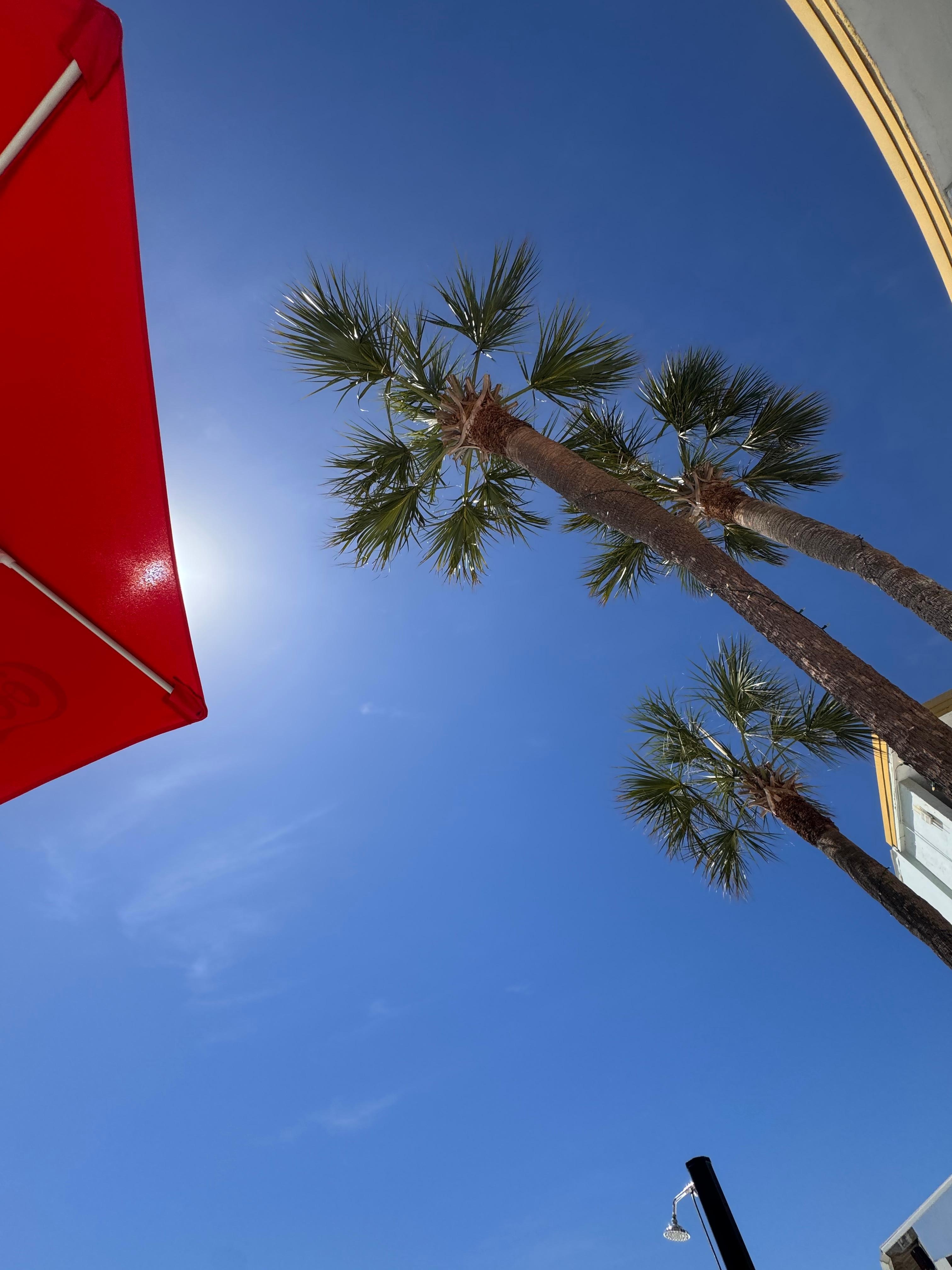 Bring sunscreen or be prepared to sit under the umbrella 